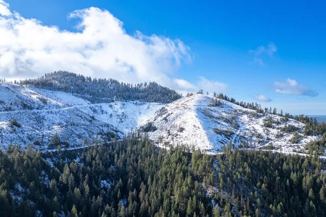 $159,500 | 41-xx Grouse Creek Road, Loon Lake, WA 99148