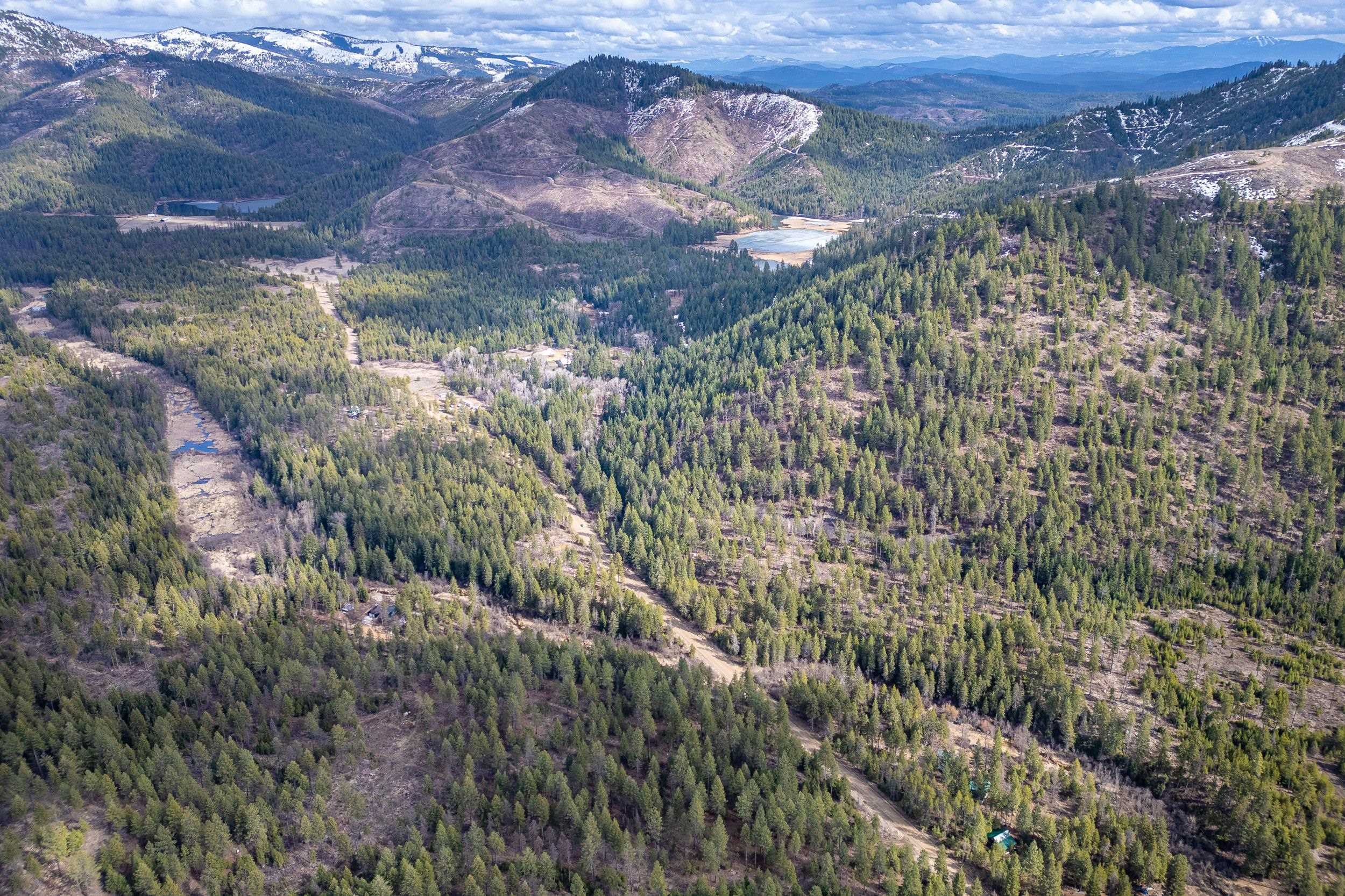 41-xx Grouse Creek Road Loon Lake, WA 99148 - Photo 3 of 11