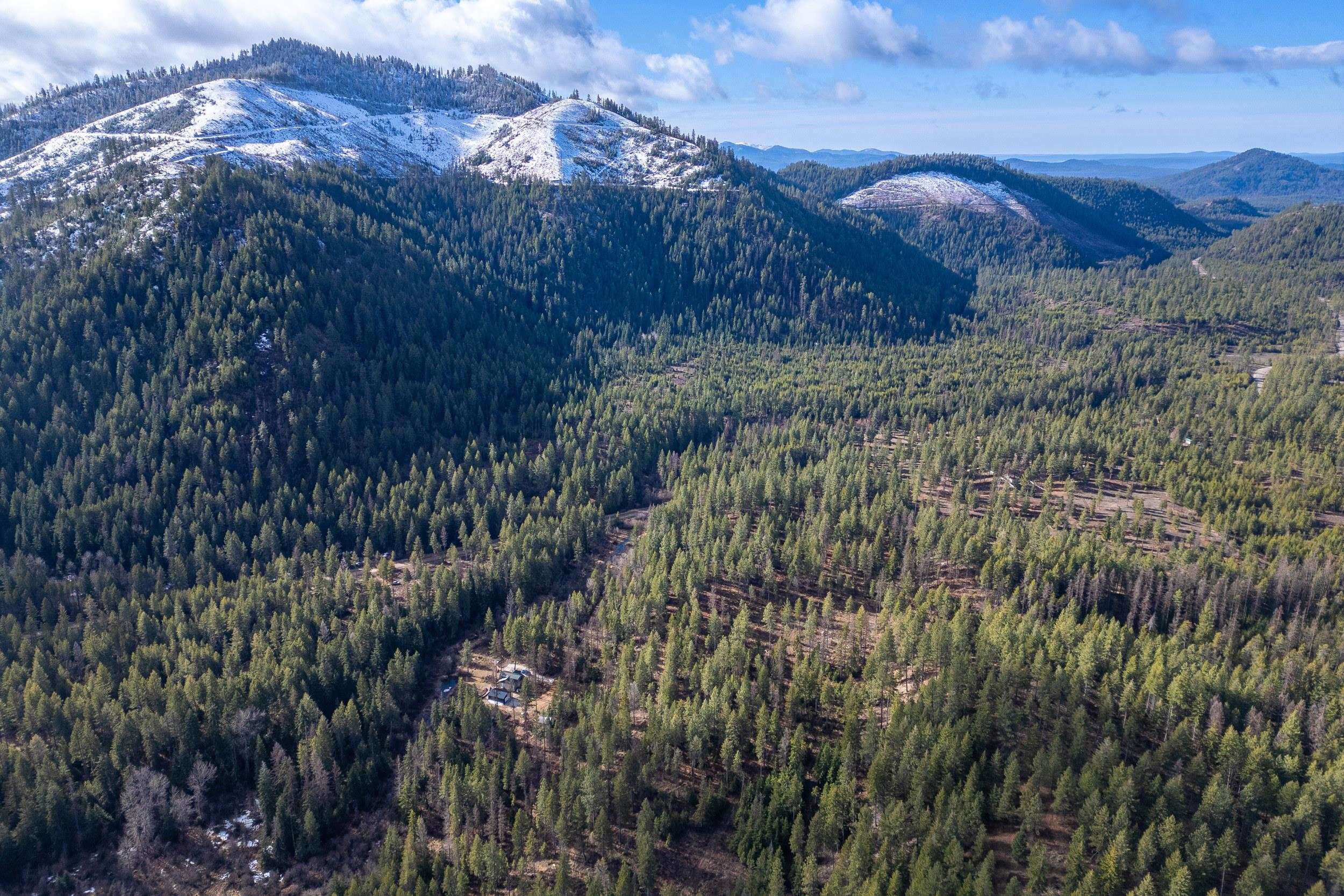 41-xx Grouse Creek Road Loon Lake, WA 99148 - Photo 4 of 11