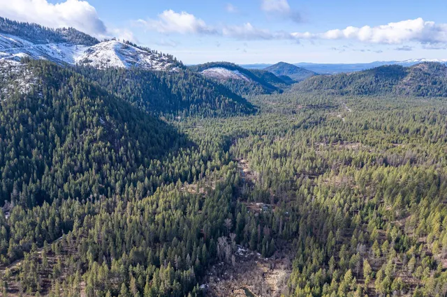 $159,500 | 41-xx Grouse Creek Road, Loon Lake, WA 99148