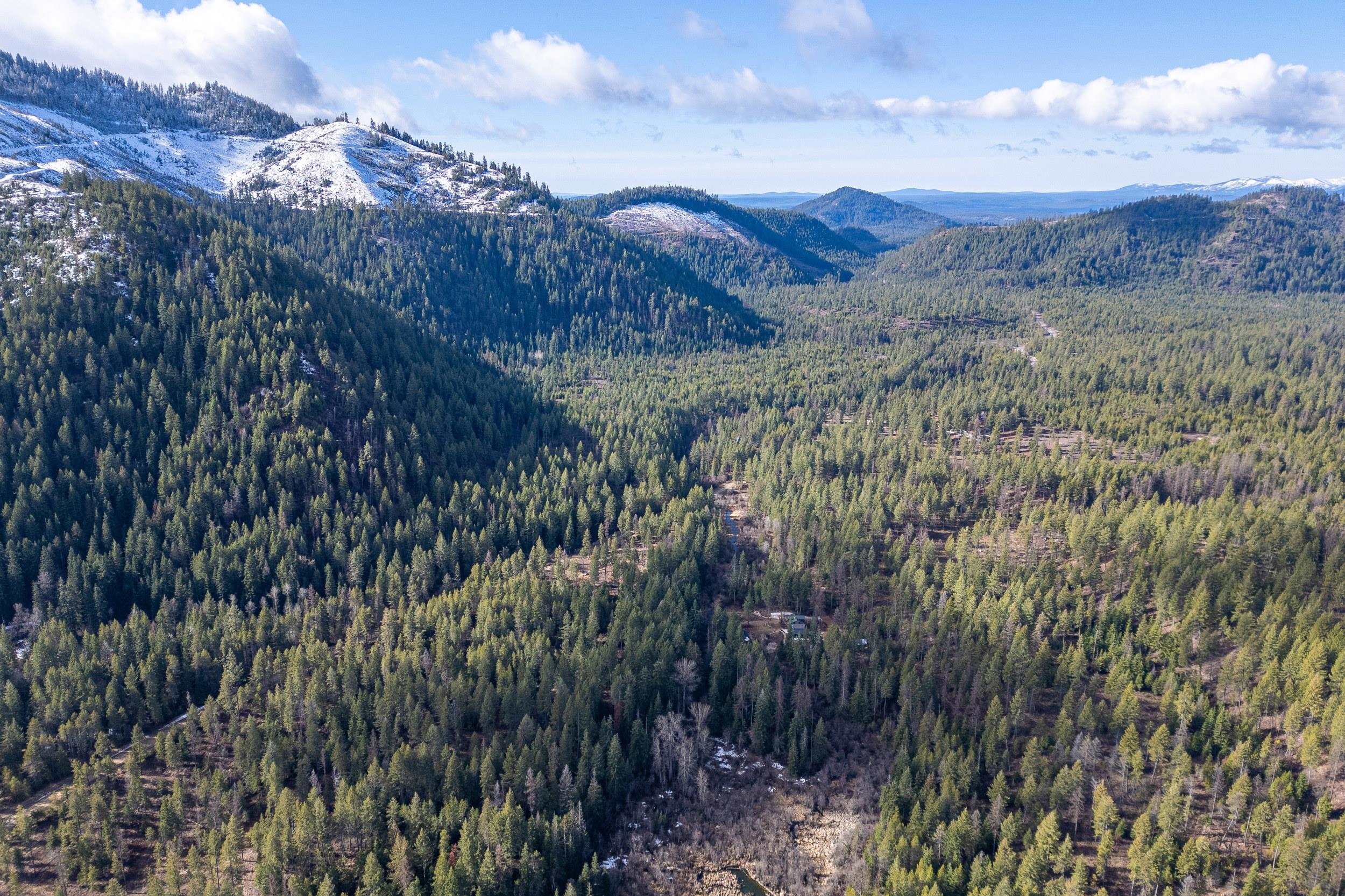 41-xx Grouse Creek Road Loon Lake, WA 99148 - Photo 5 of 11