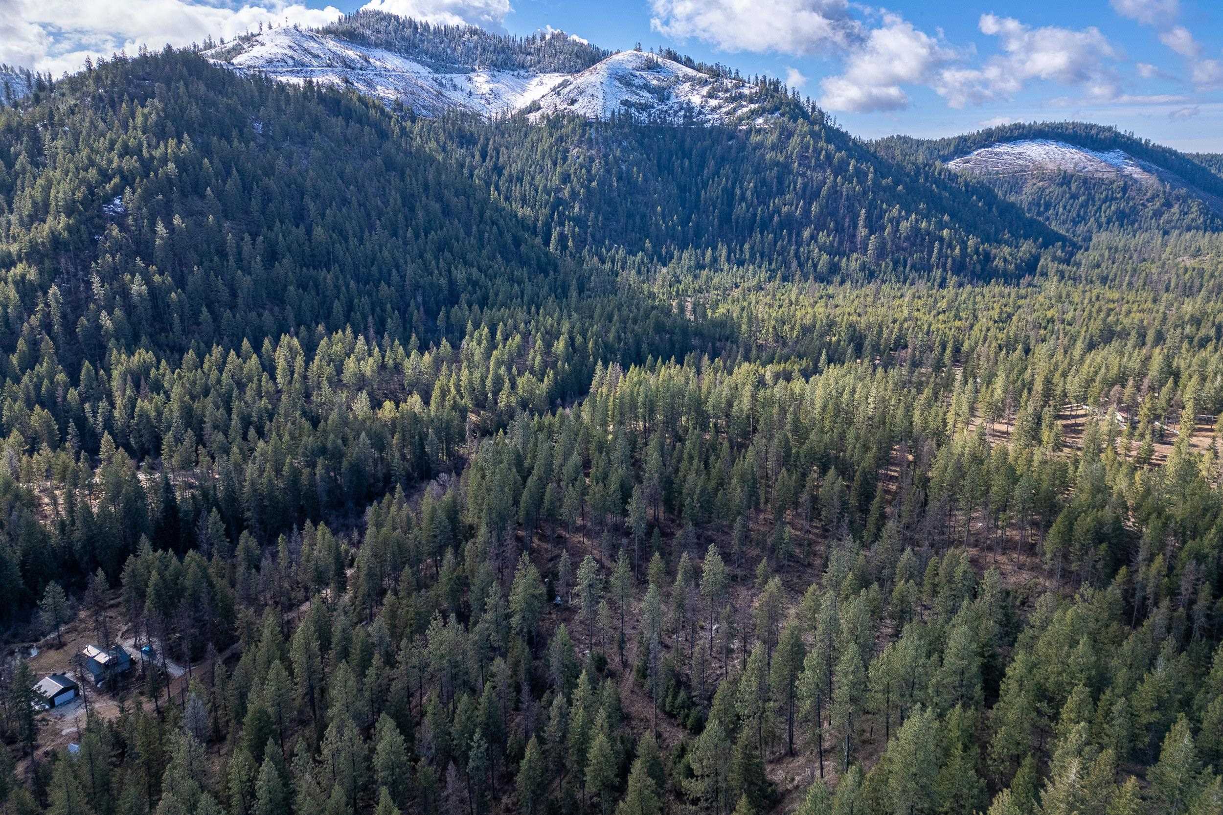 41-xx Grouse Creek Road Loon Lake, WA 99148 - Photo 6 of 11