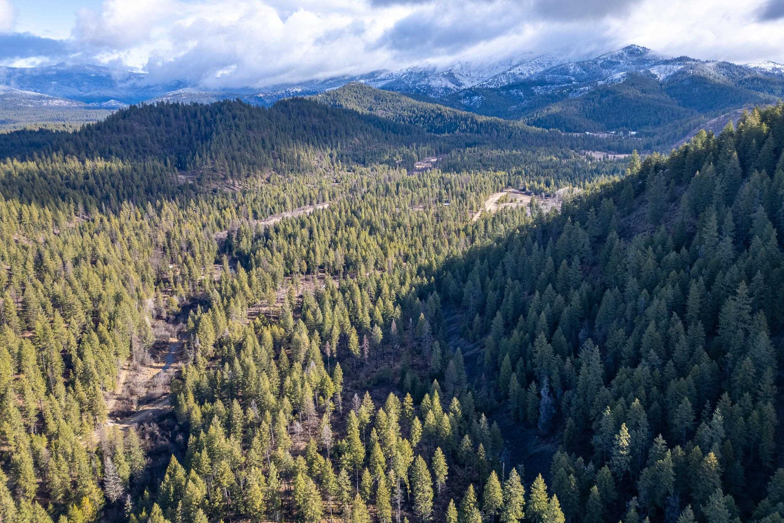 41-xx Grouse Creek Road Loon Lake, WA 99148 - Photo 8 of 11