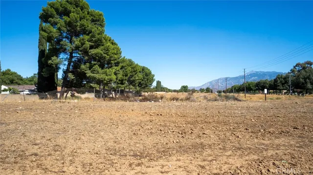 a view of a beach with a tree in the background