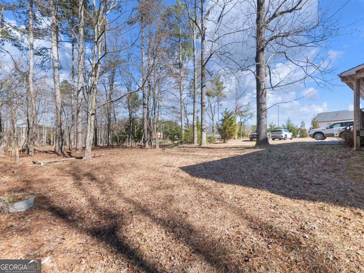 5539 McEver Road Flowery Branch, GA 30542 - Photo 11 of 41 a view of road with covered with snow