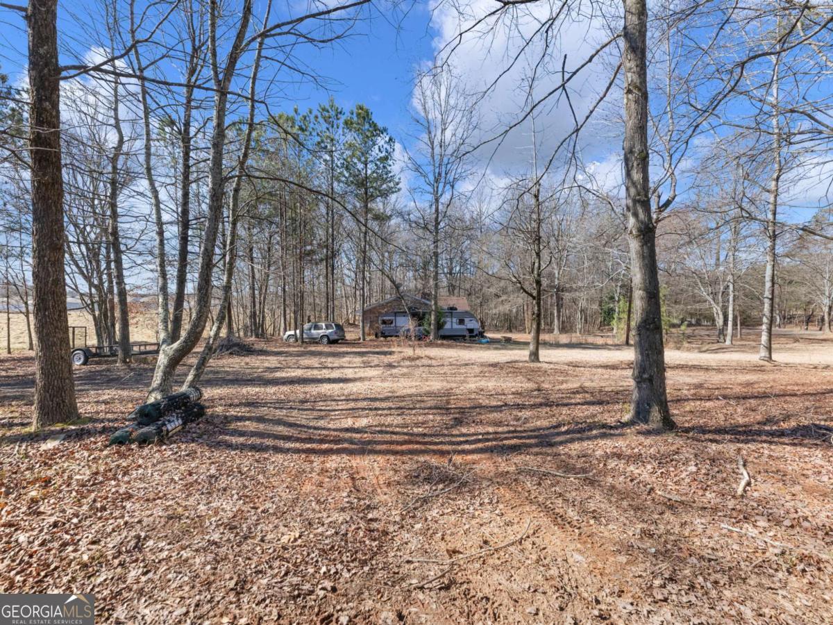 5539 McEver Road Flowery Branch, GA 30542 - Photo 12 of 41 a view of park space and trees