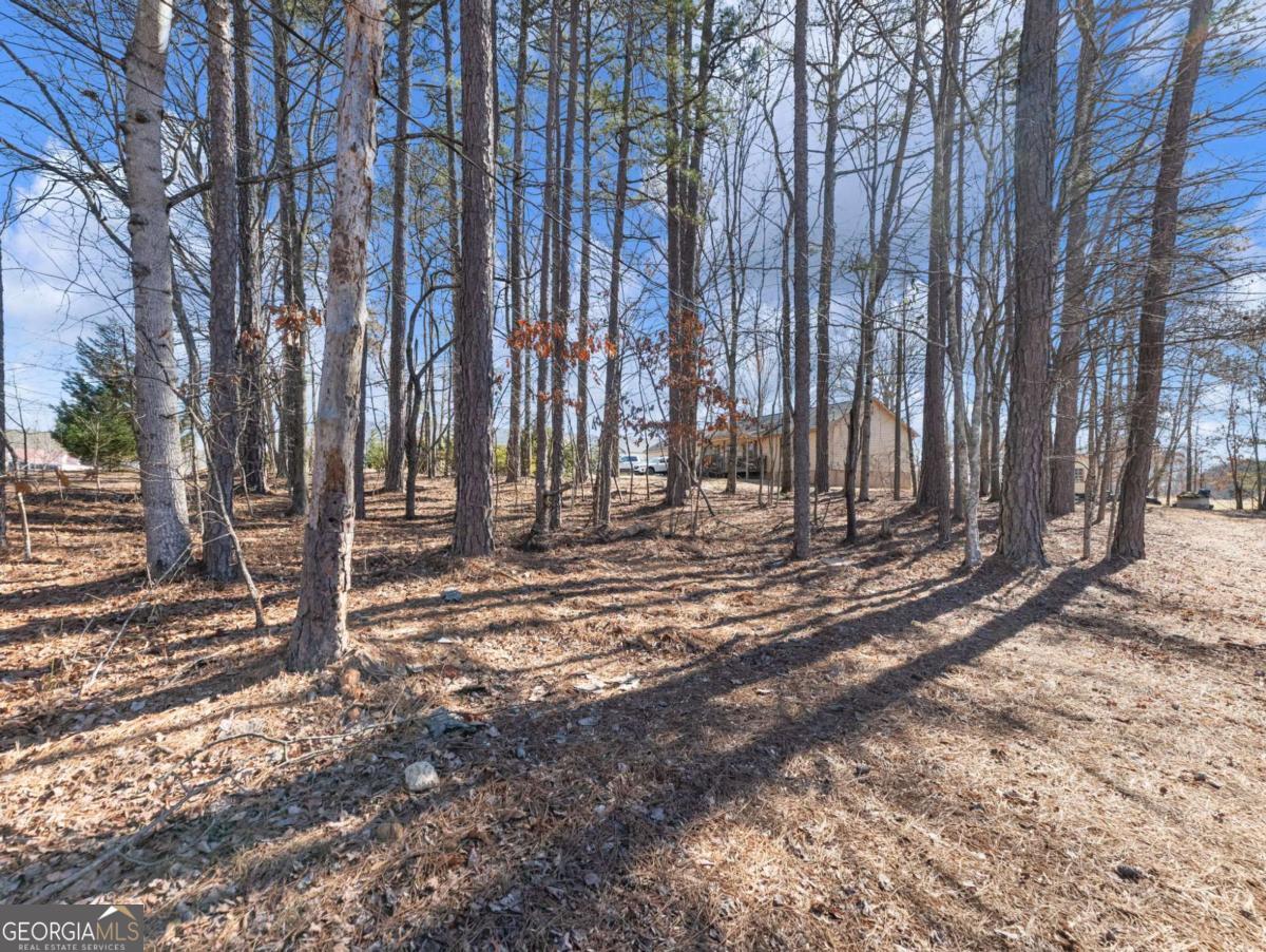 5539 McEver Road Flowery Branch, GA 30542 - Photo 14 of 41 a view of park with large trees