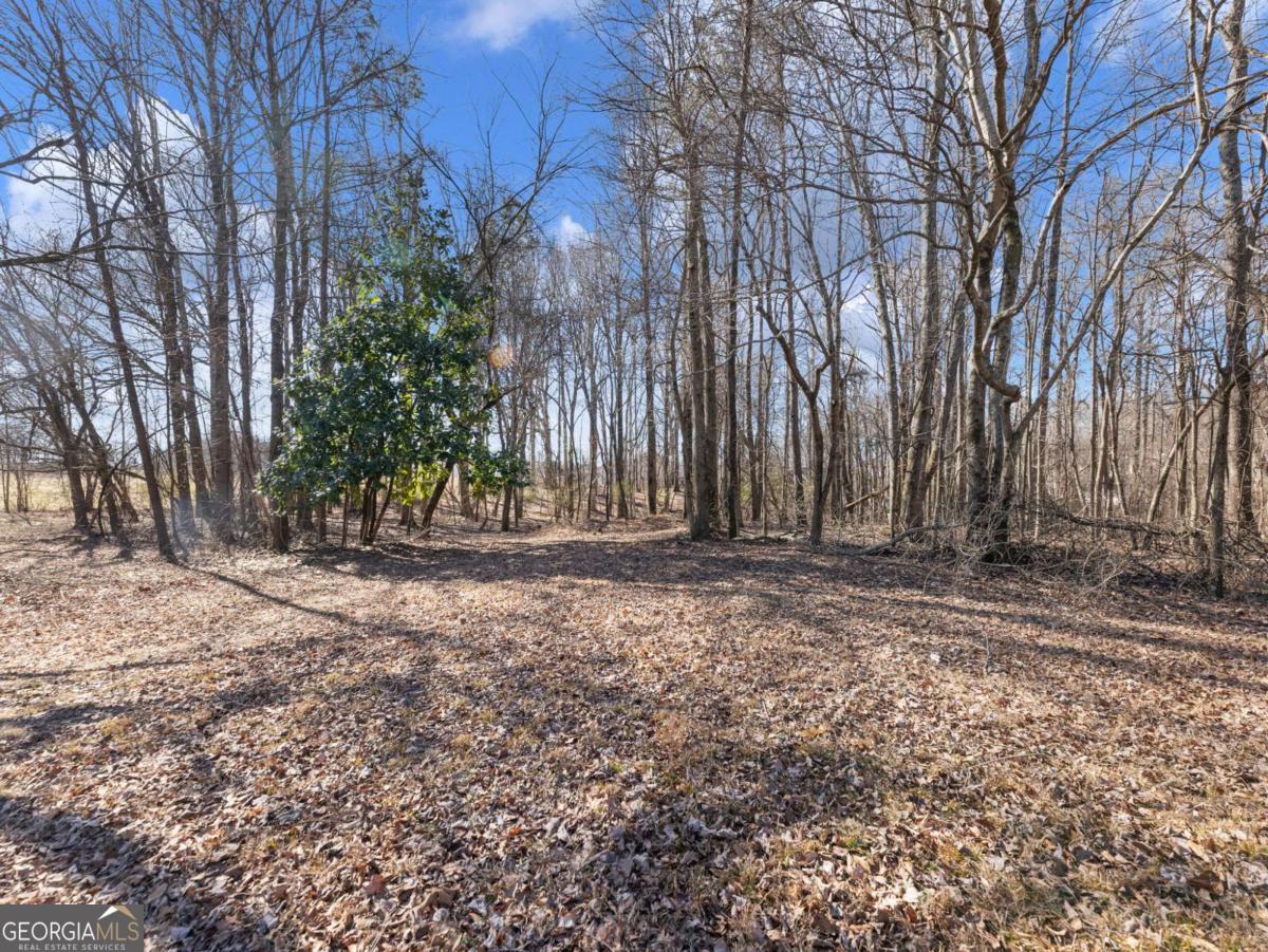 5539 McEver Road Flowery Branch, GA 30542 - Photo 18 of 41 a view of a backyard with large trees