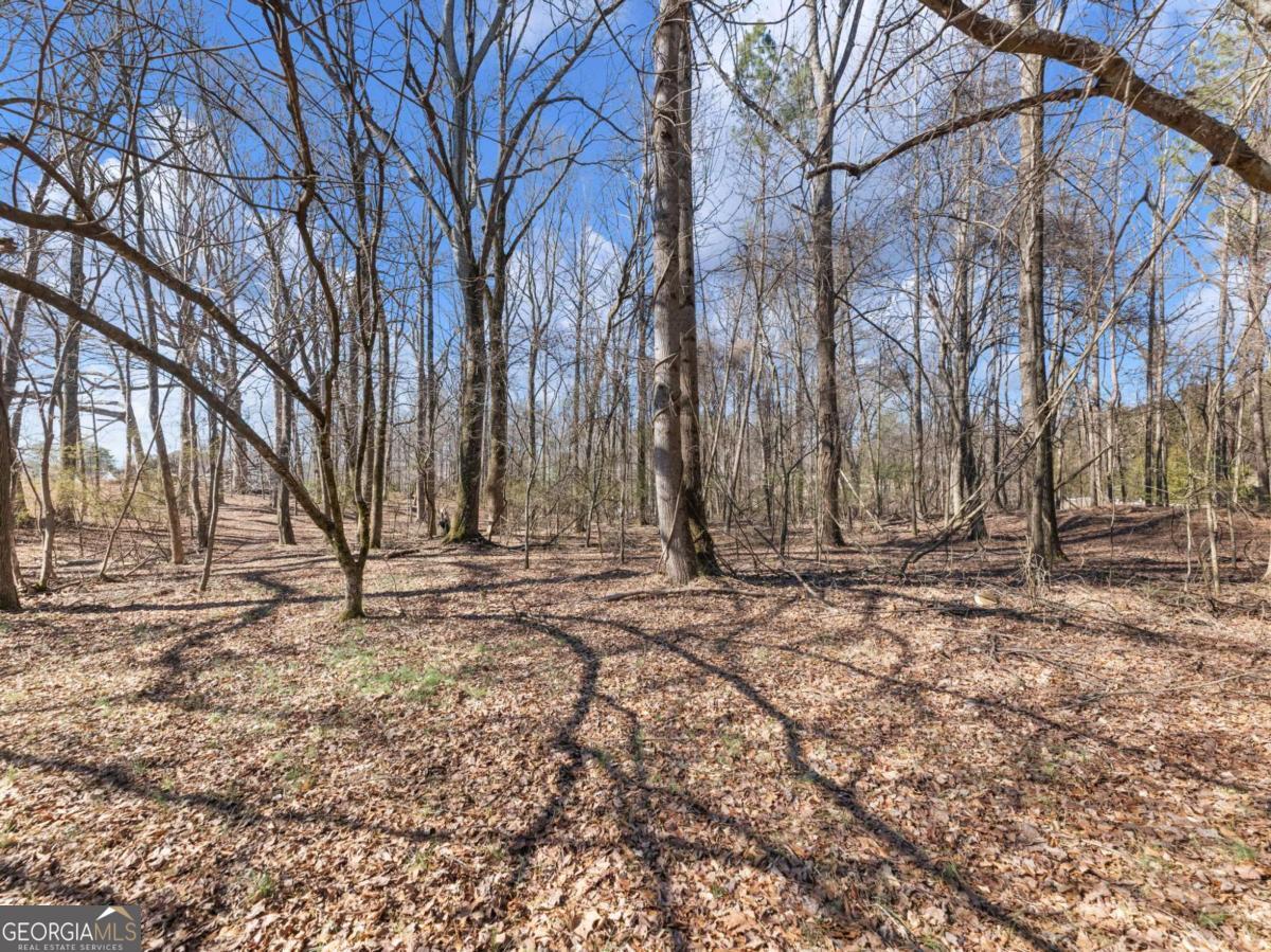 5539 McEver Road Flowery Branch, GA 30542 - Photo 20 of 41 a fire hydrant in the middle of a yard