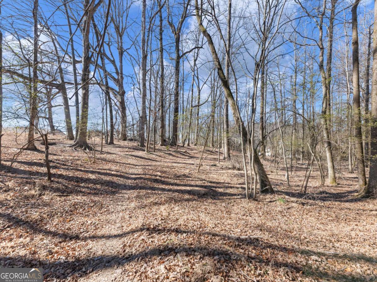 5539 McEver Road Flowery Branch, GA 30542 - Photo 23 of 41 a view of park with large trees