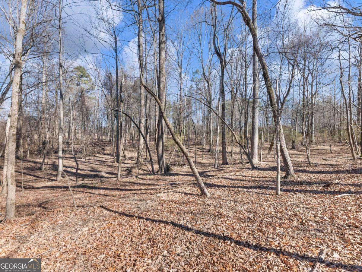 5539 McEver Road Flowery Branch, GA 30542 - Photo 24 of 41 a backyard of a house with lots of green space