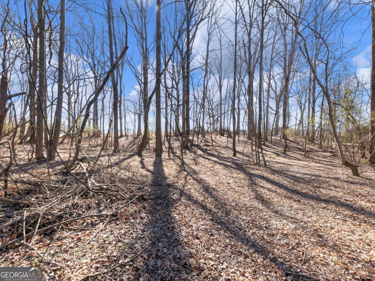5539 McEver Road Flowery Branch, GA 30542 - Photo 25 of 41 a view of park space