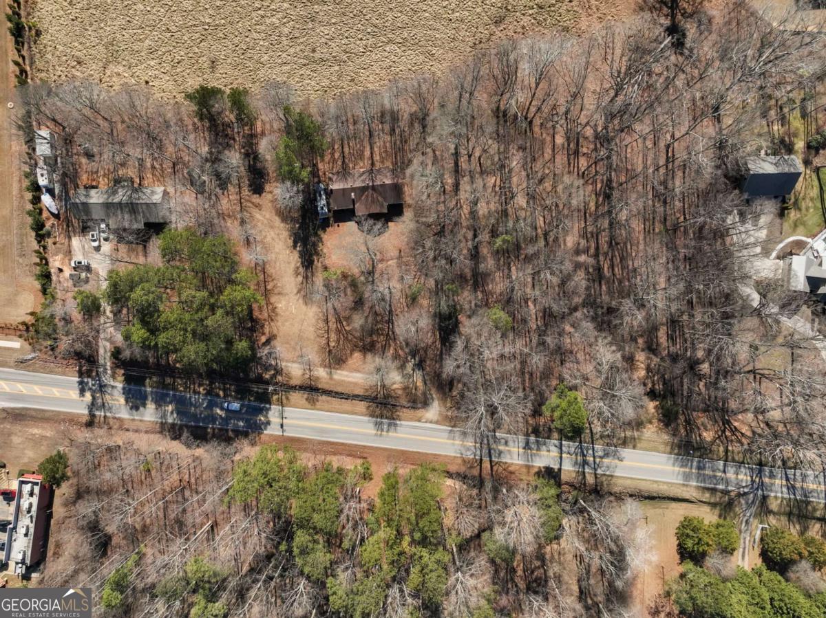 5539 McEver Road Flowery Branch, GA 30542 - Photo 30 of 41 a view of a yard with plants and trees