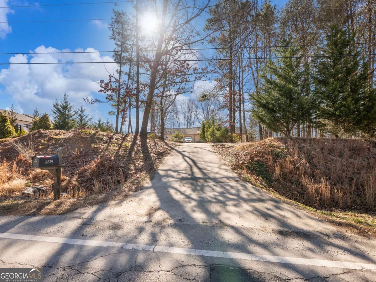 5539 McEver Road Flowery Branch, GA 30542 - Photo 39 of 41 a view of a yard with plants and trees