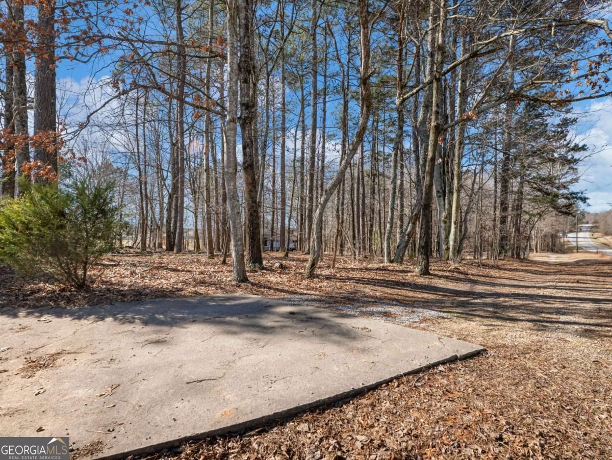 5539 McEver Road Flowery Branch, GA 30542 - Photo 40 of 41 a view of a backyard of a house