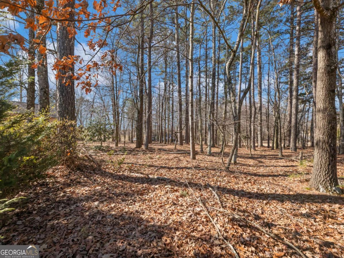 5539 McEver Road Flowery Branch, GA 30542 - Photo 41 of 41 a view of a backyard of the house