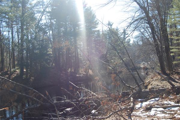 24 Worcester Road Townsend, MA 01469 - Photo 12 of 17 Gallery Image 12