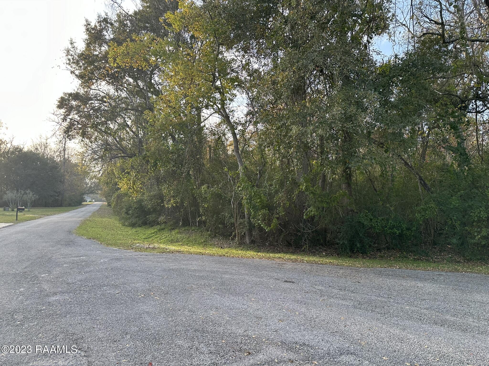 Tba Woodlawn Road Maurice, LA 70555 - Photo 7 of 8 IMG_5054