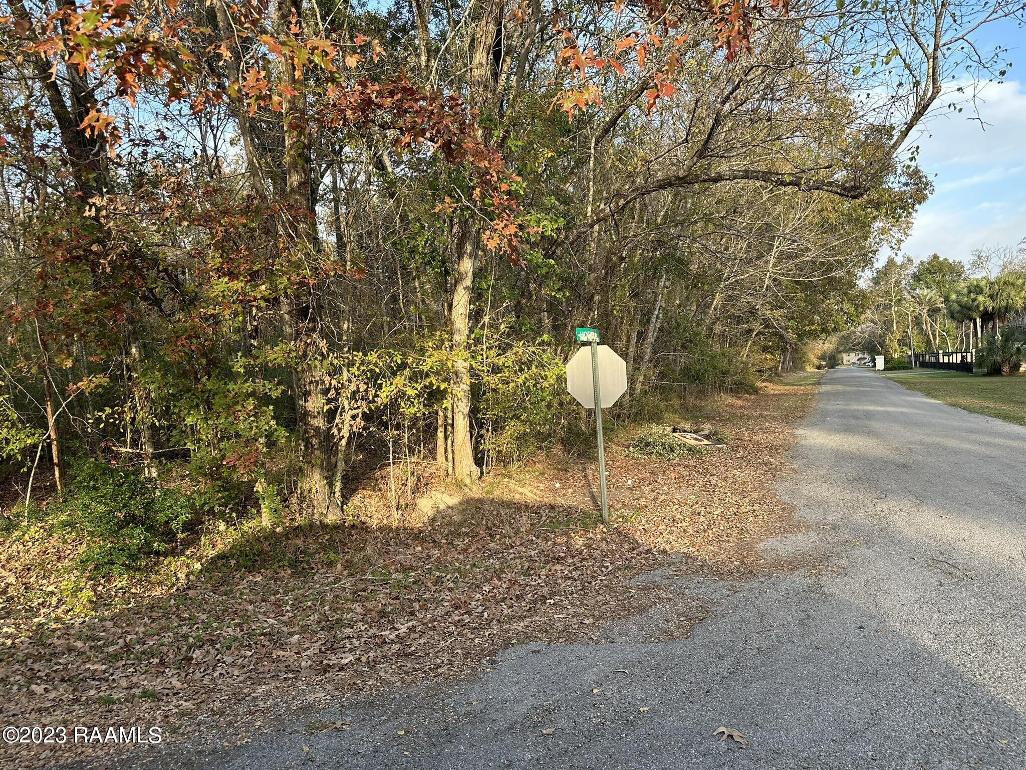 Tba Woodlawn Road Maurice, LA 70555 - Photo 8 of 8 IMG_5055