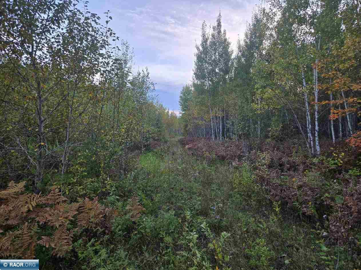 Tbd Sherwood Anderson Road Britt, MN 55710 - Photo 1 of 4