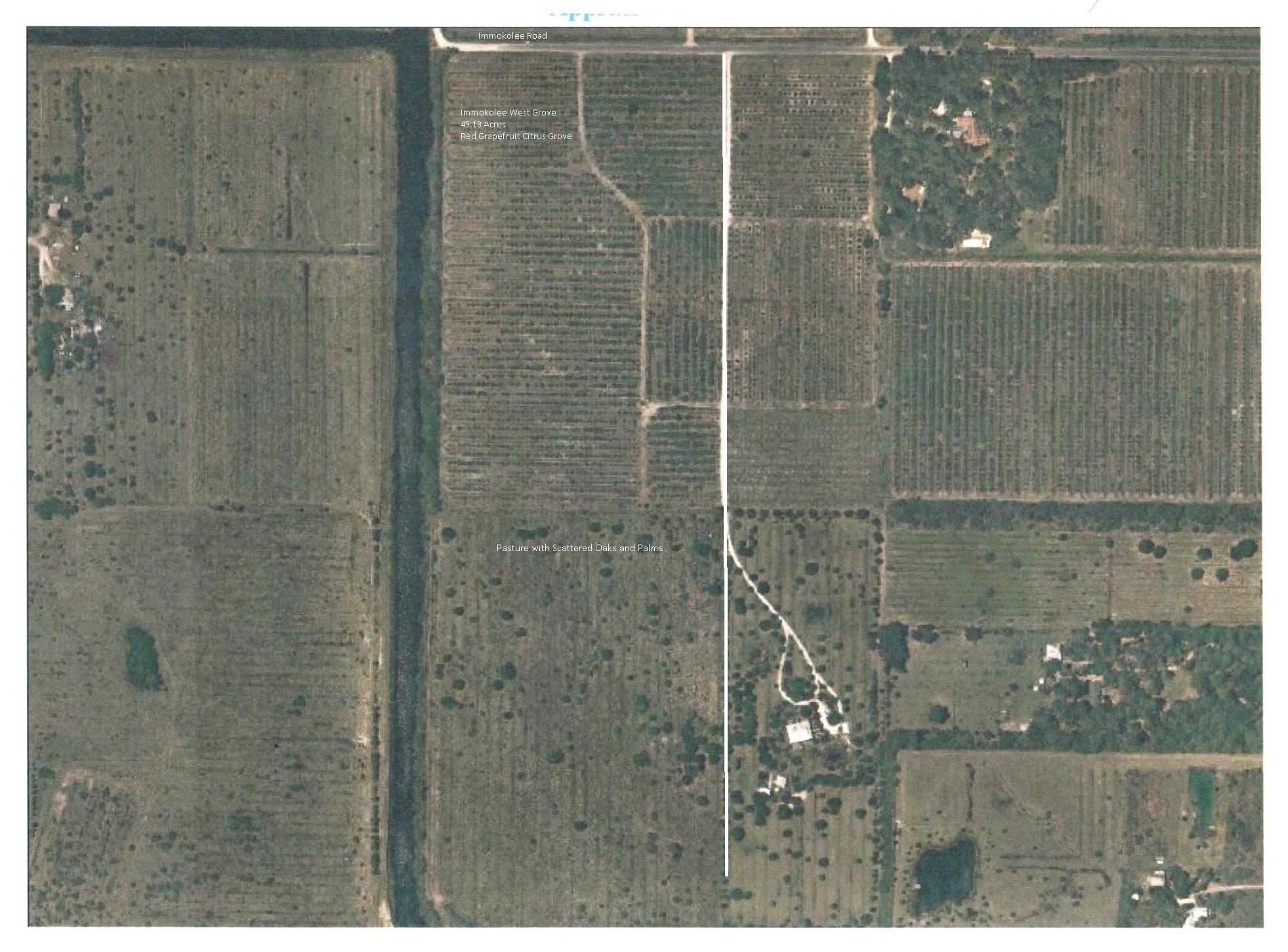 8560 Immokolee Road Fort Pierce, FL 34951 - Photo 5 of 10 Immokolee_Grove_Aerial