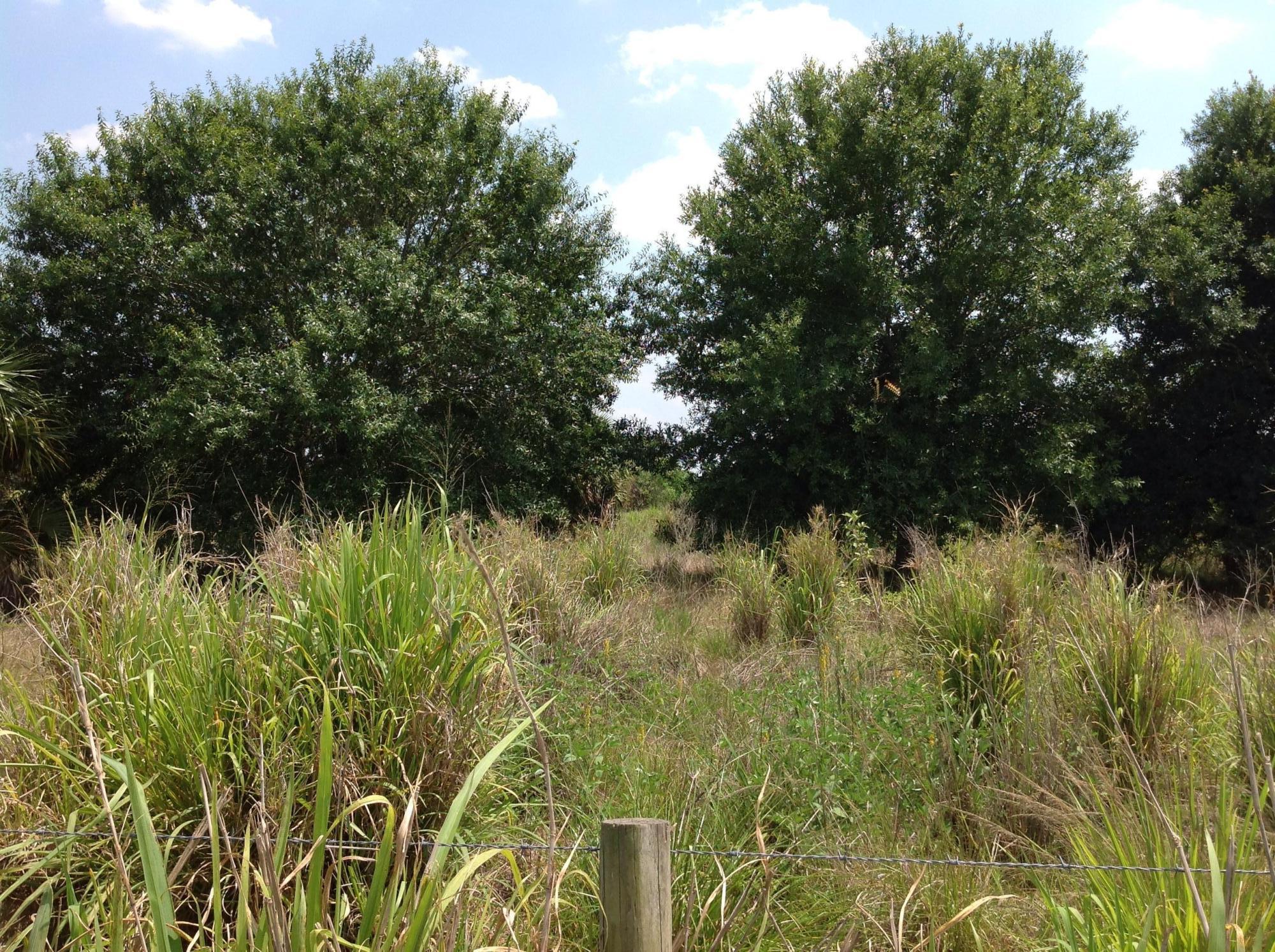 8560 Immokolee Road Fort Pierce, FL 34951 - Photo 7 of 10 Pasture Oaks