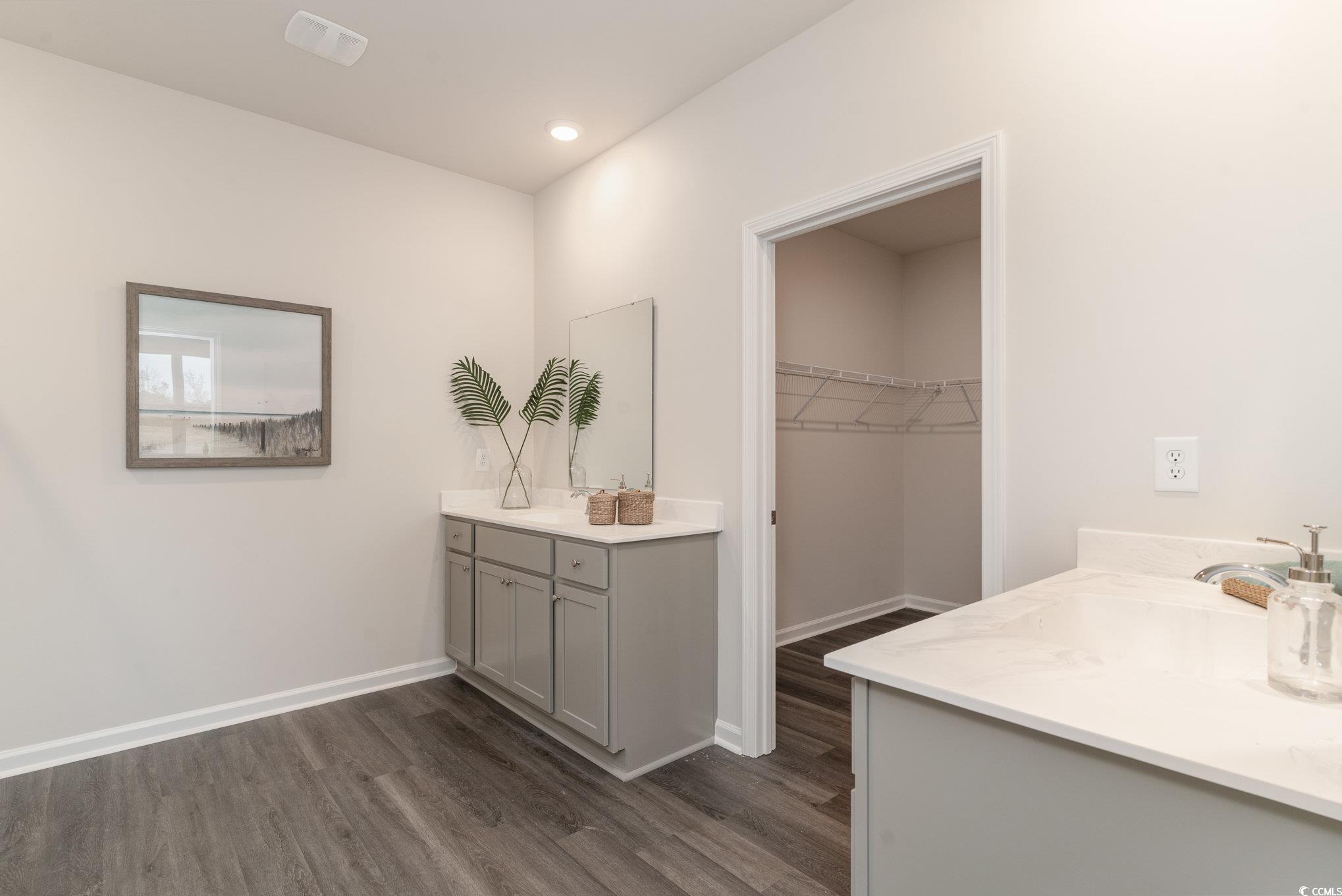 7367 Meadow Walk Loop Loris, SC 29569 - Photo 13 of 25 Bathroom with baseboards, a spacious closet, two vanities, and wood finished floors