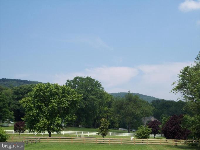 7510 Old Receiver Road Frederick, MD 21702 - Photo 3 of 8 View from Unit