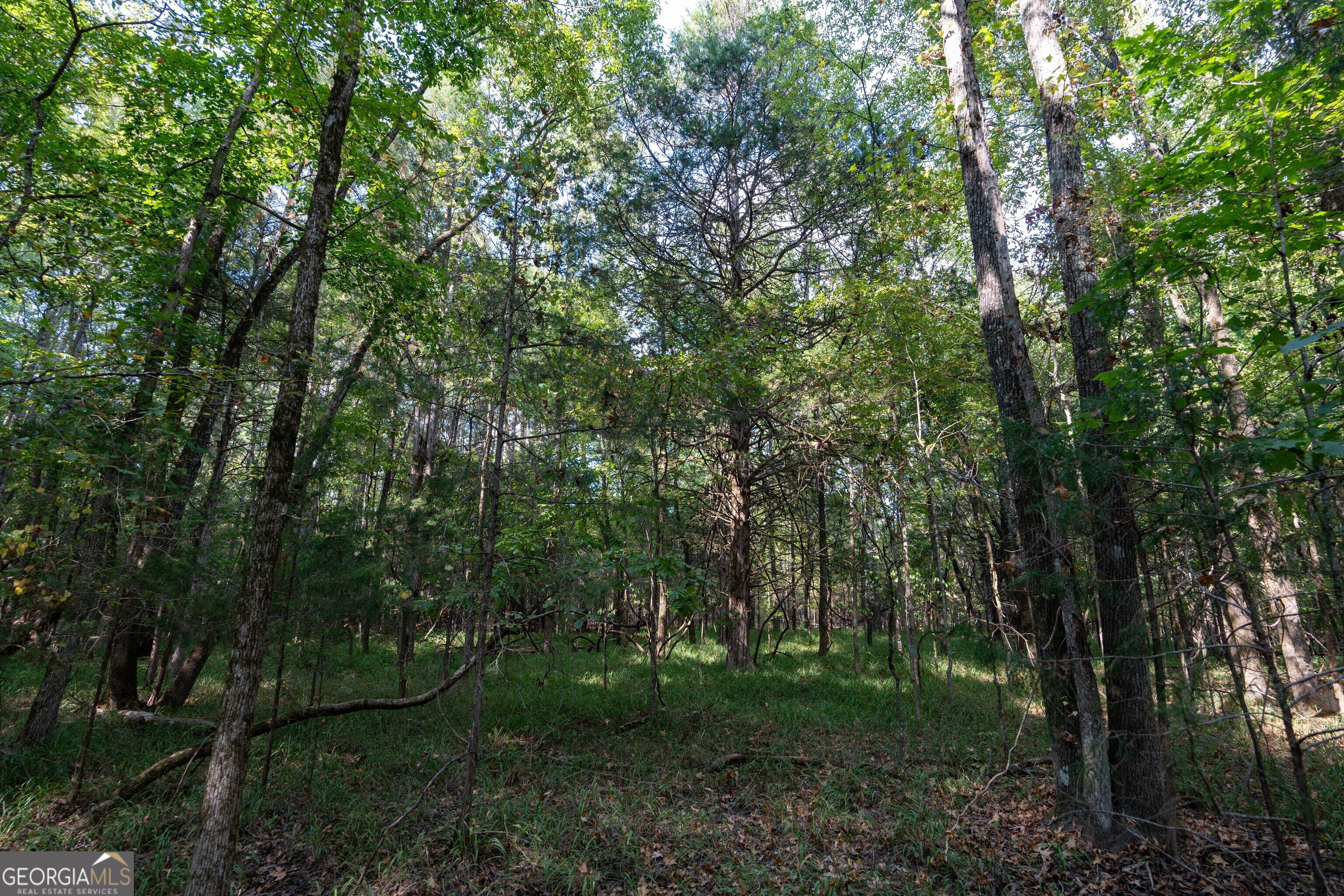 1419 Bobby Brown State Park Road Elberton, GA 30635 - Photo 74 of 90 Gallery Image 74