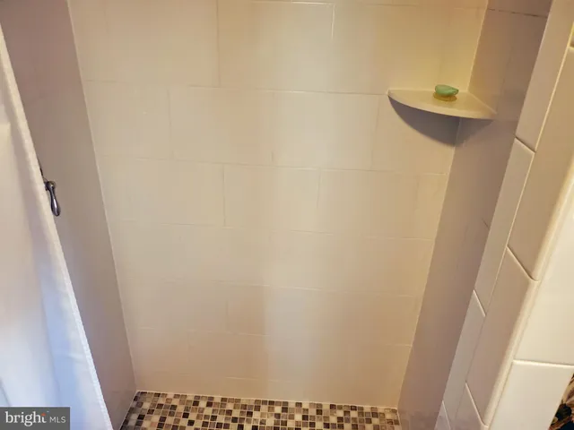 a bathroom with a sink and a shower