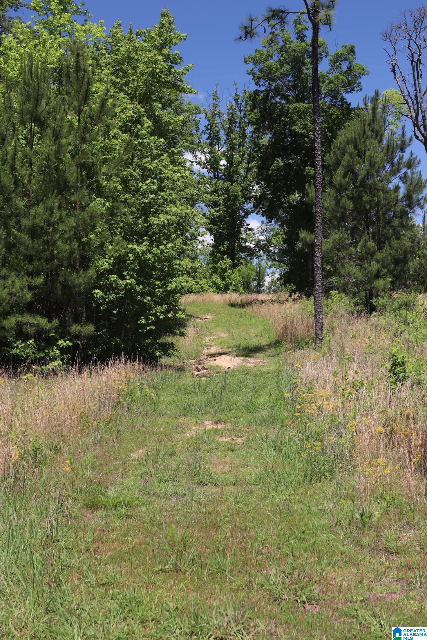 2930 Shocco Springs Road Talladega, AL 35160 - Photo 81 of 93