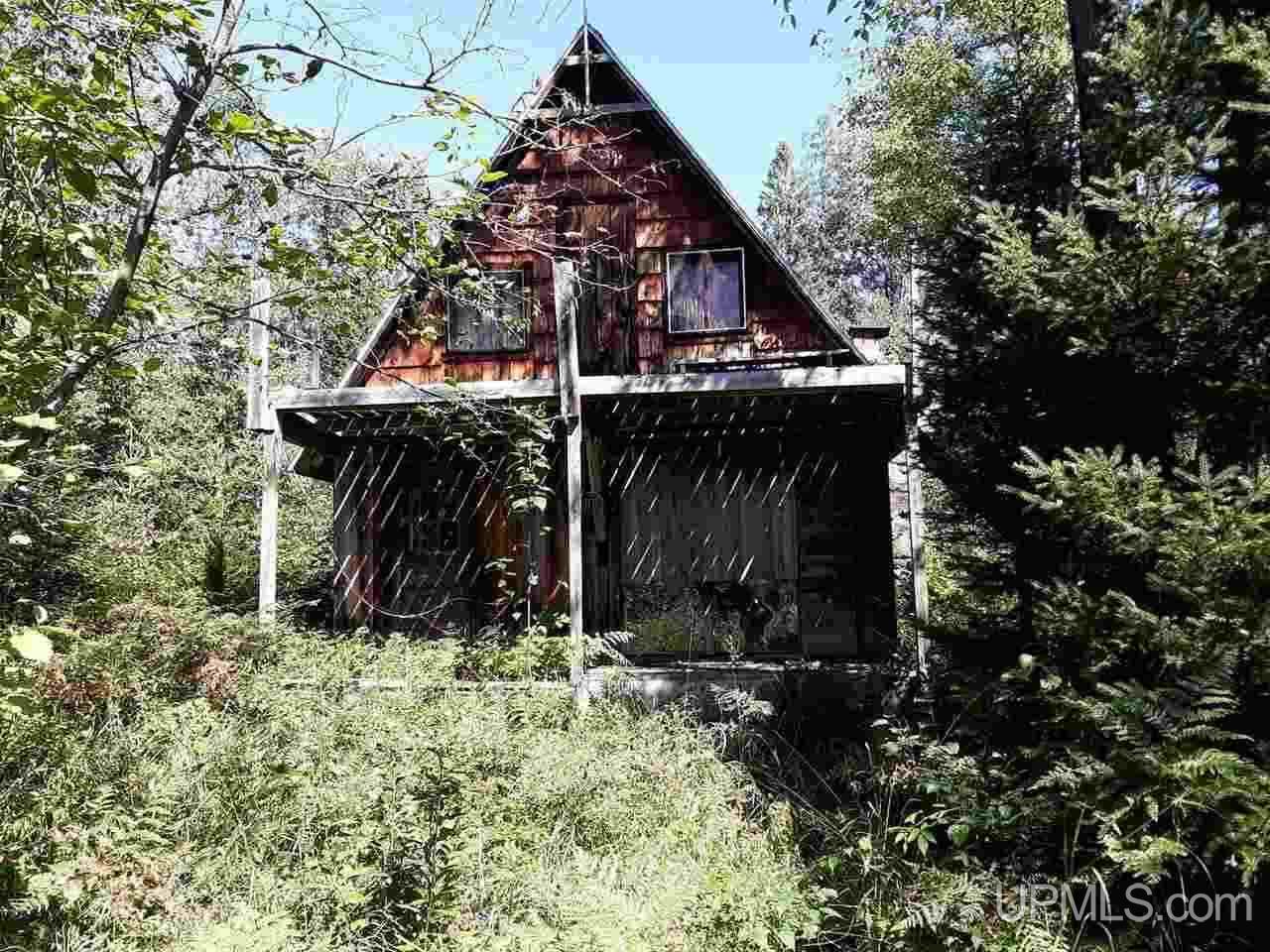 Tbd Baker Road Iron River, MI 49935 - Photo 10 of 11