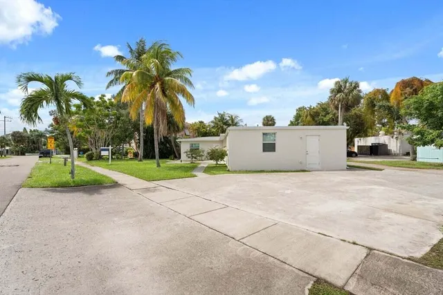 a view of a yard with plants and large trees