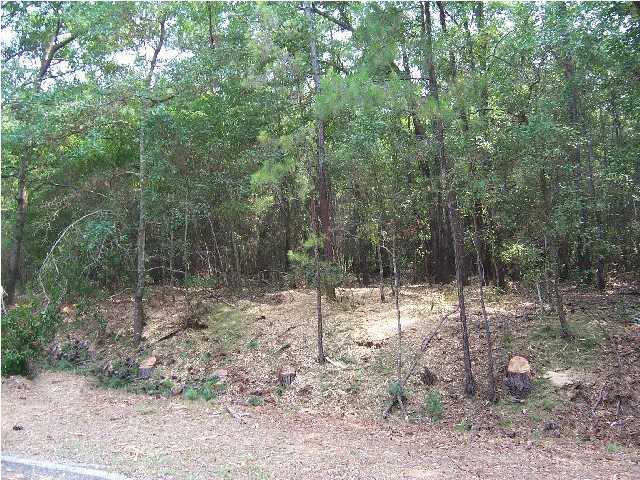 2249 Laurel Hill Road Edisto Island, SC 29438 - Photo 2 of 5 Additional Photo