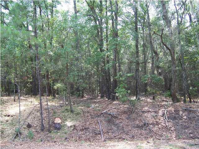 2249 Laurel Hill Road Edisto Island, SC 29438 - Photo 3 of 5 Additional Photo