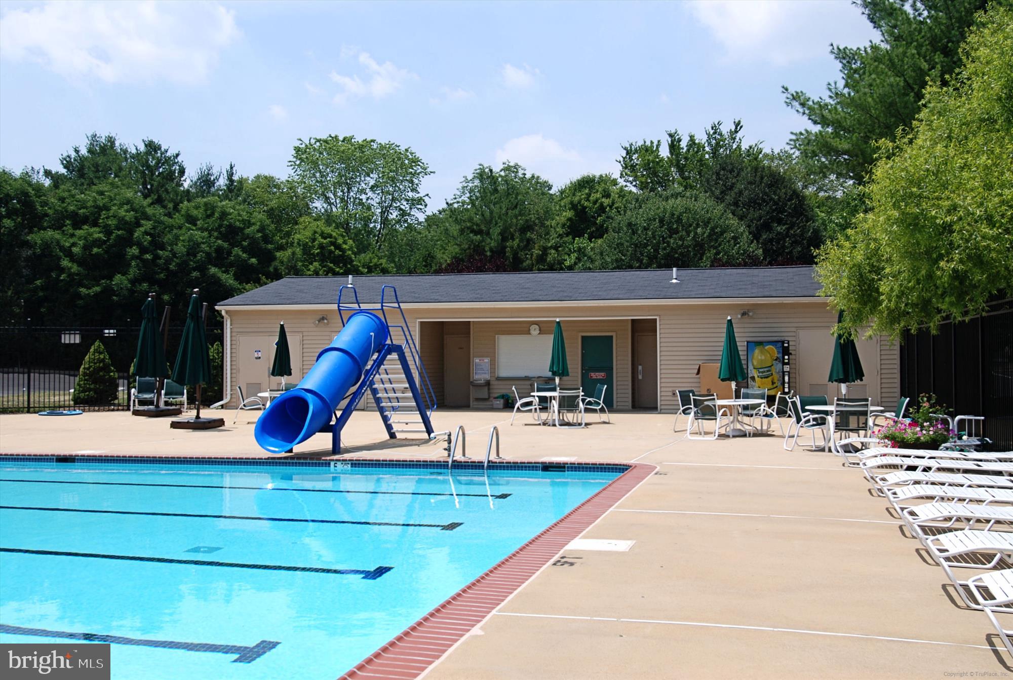 1529 Kingstream Circle Herndon, VA 20170 - Photo 67 of 74 Jimmy McLaughlin Memorial Pool(Kingstream)