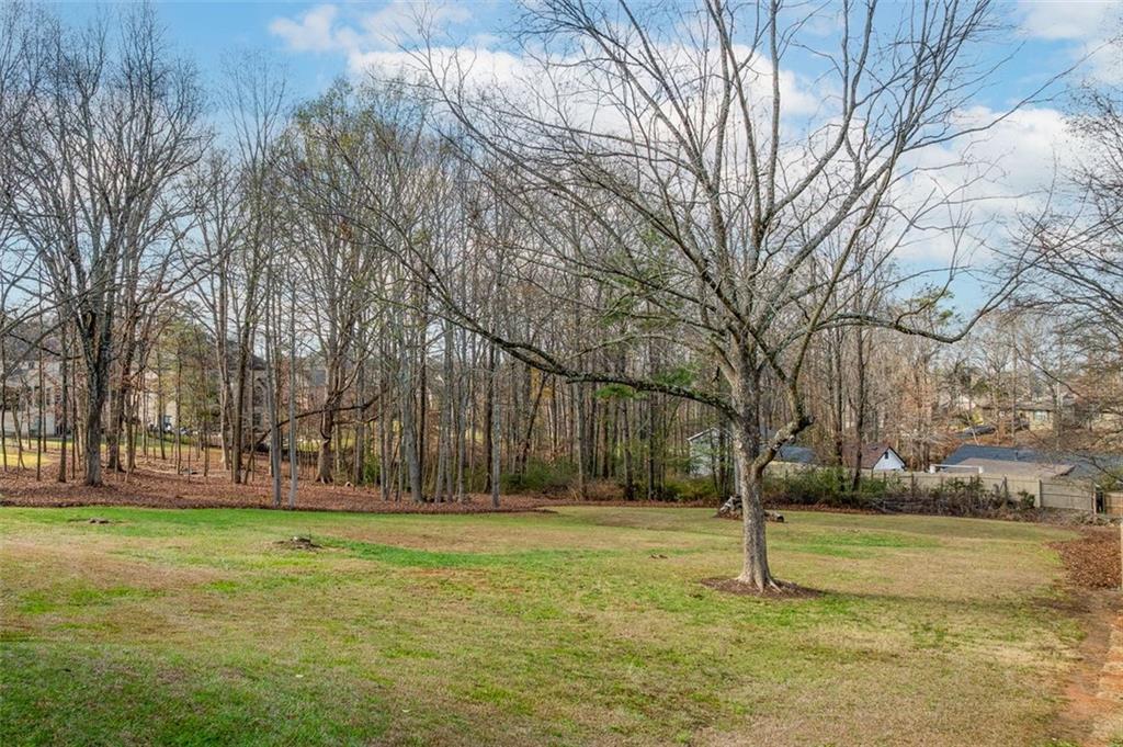 2720 North Bogan Road Northeast Buford, GA 30519 - Photo 7 of 29 a view of a park