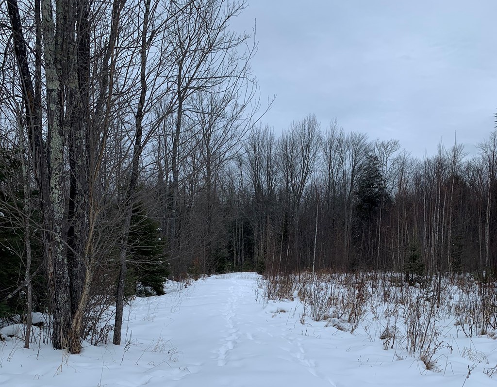 0 Other Butternut, WI 54514 - Photo 13 of 21