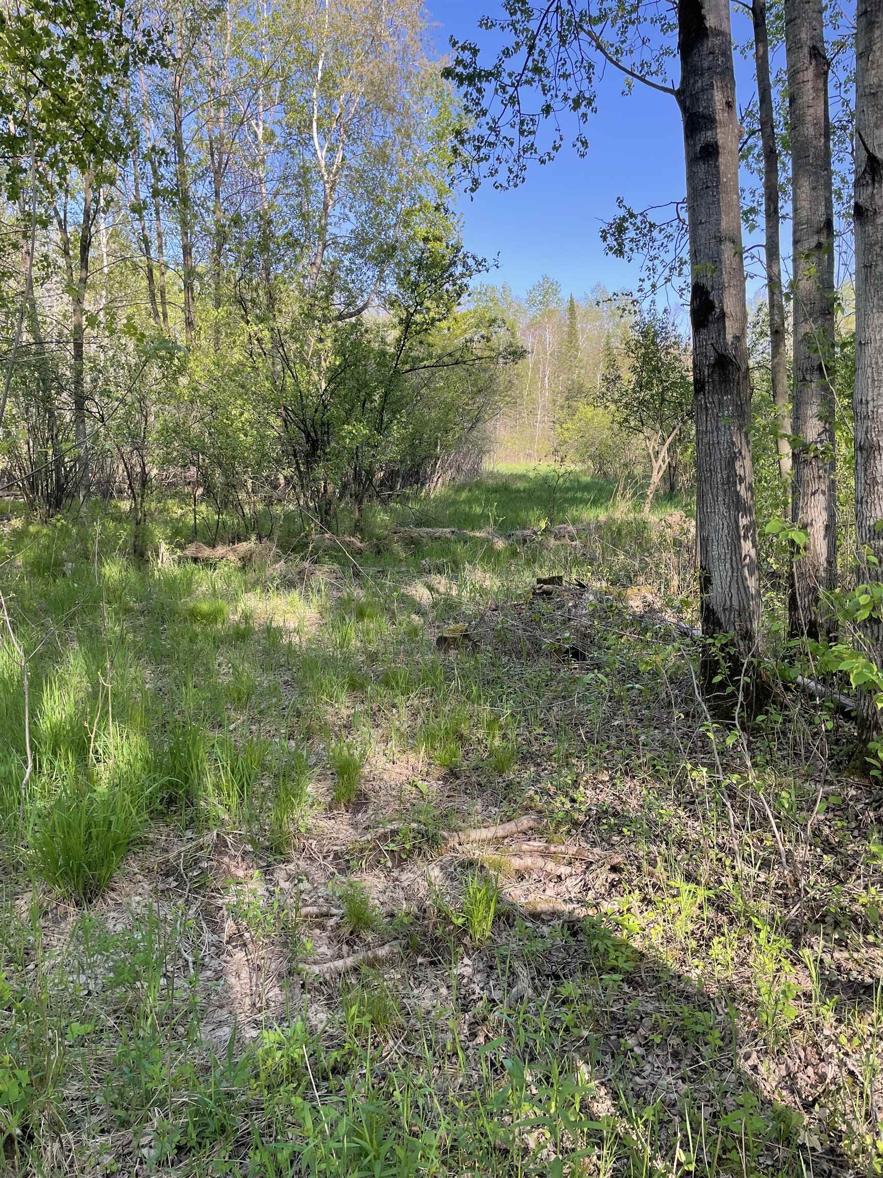 10773 County Rd K Auburndale, WI 54412 - Photo 12 of 27