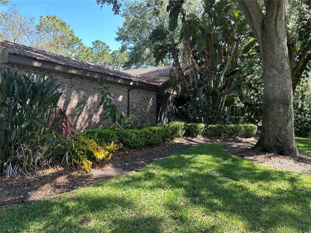 104 Woden Way Winter Haven, FL 33884 - Photo 2 of 48 a view of a backyard with plants and large trees
