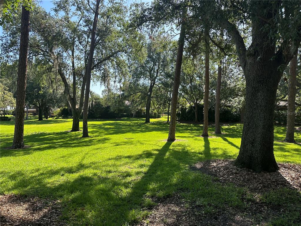 104 Woden Way Winter Haven, FL 33884 - Photo 32 of 48 a view of a park with a tree