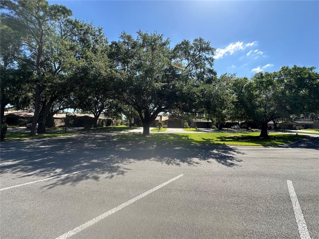 104 Woden Way Winter Haven, FL 33884 - Photo 36 of 48 a view of a house with a big yard and large trees