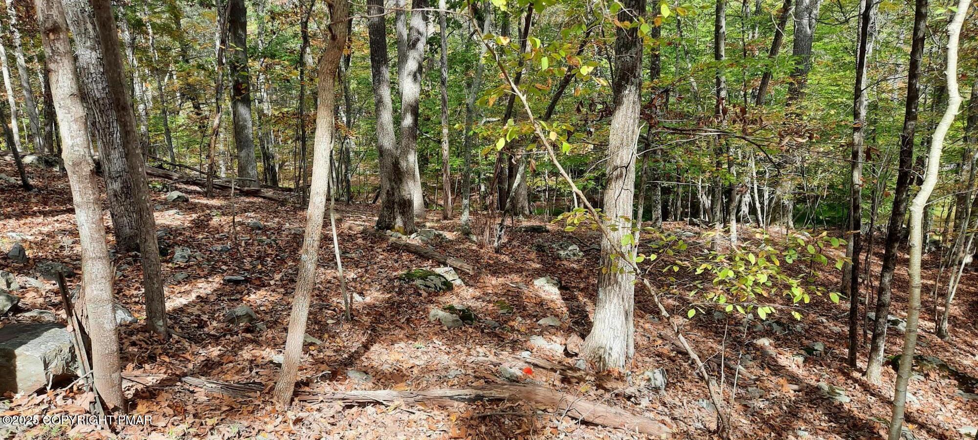 Lot 8-sec Lot 8-sec Decker Road Bushkill, PA 18324 - Photo 3 of 6 Decker Rd 5