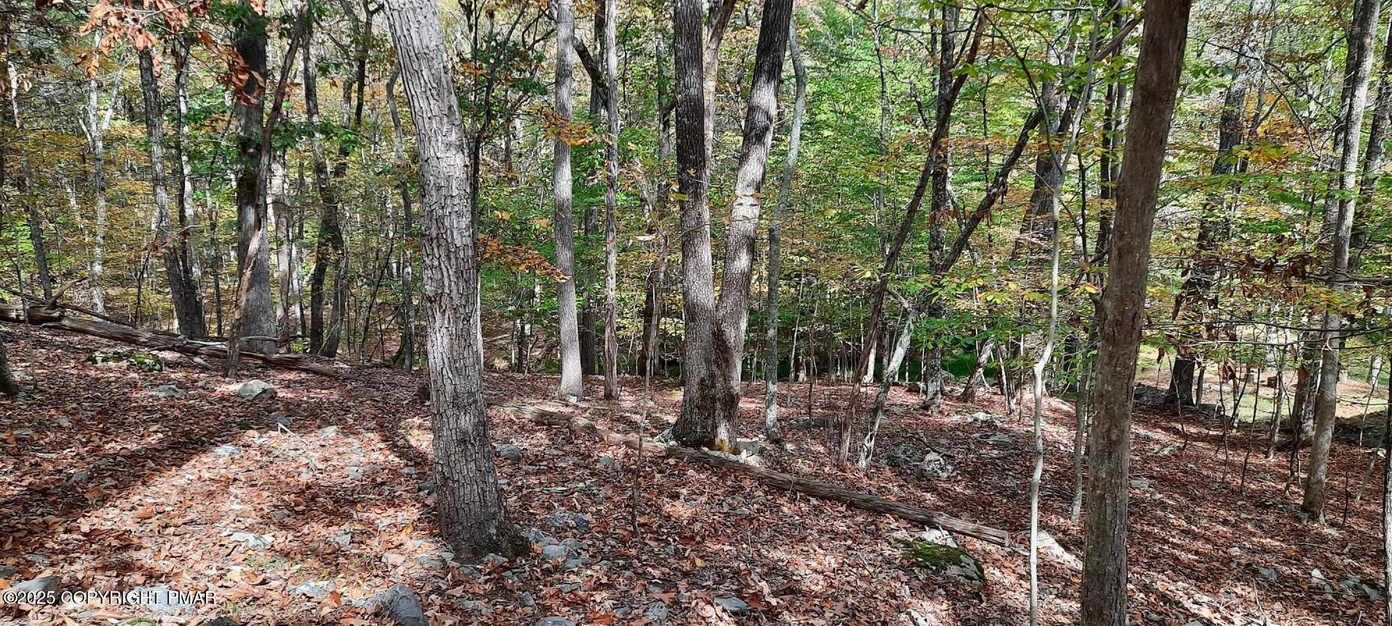 Lot 8-sec Lot 8-sec Decker Road Bushkill, PA 18324 - Photo 4 of 6 Decker Rd 4