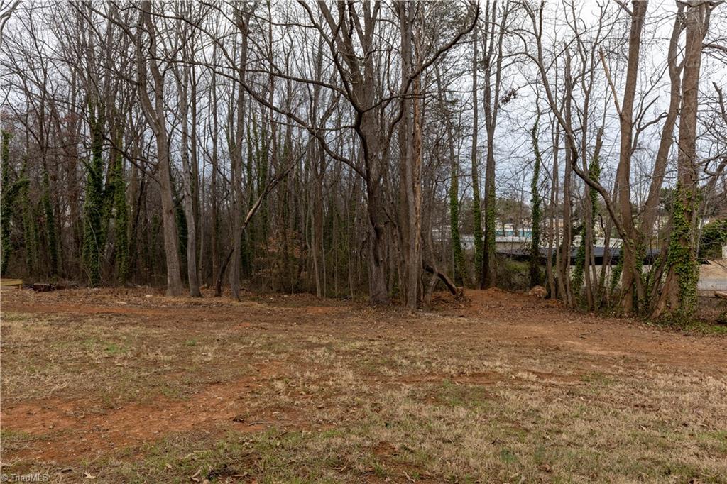 4761 Kester Mill Road Winston-Salem, NC 27103 - Photo 31 of 31