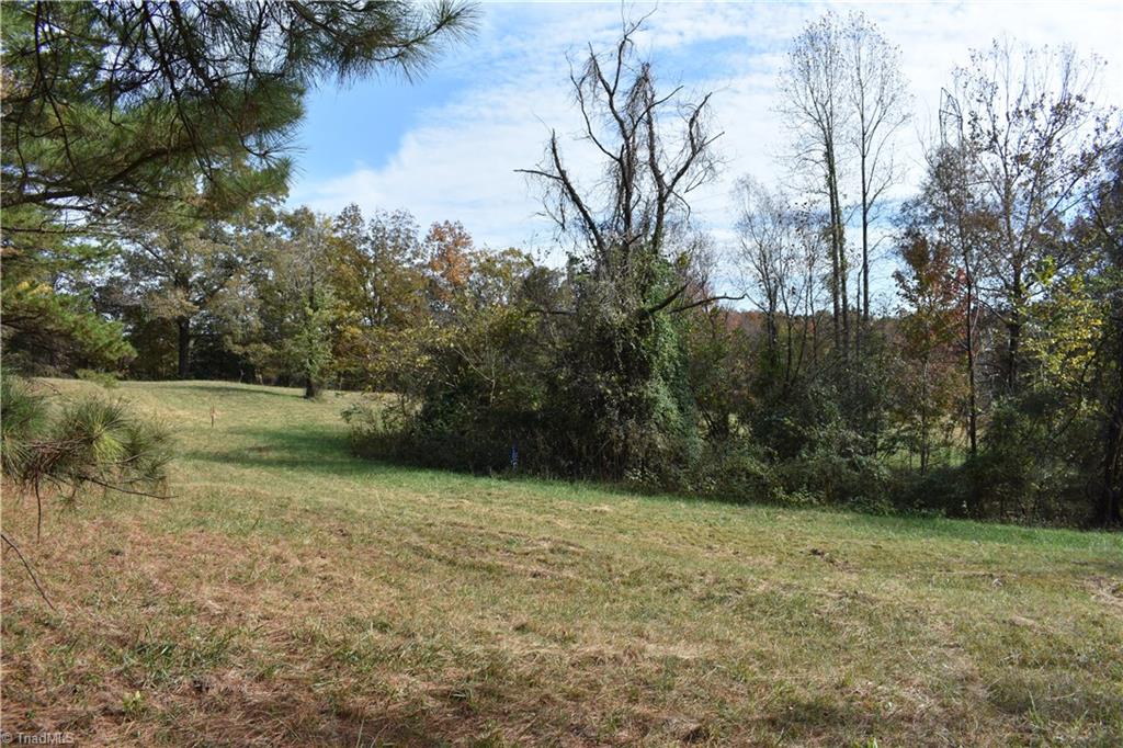 6319 Company Mill Road Climax, NC 27233 - Photo 3 of 7 Gallery Image 3