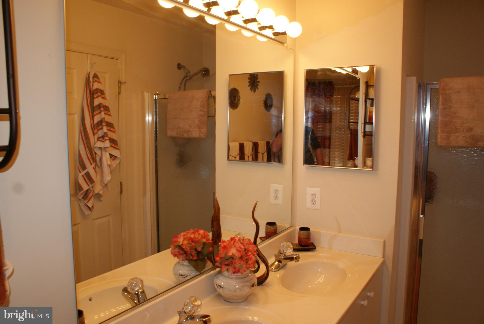 678 Hunting Fields Road Baltimore, MD 21220 - Photo 17 of 24 Bath (Master)