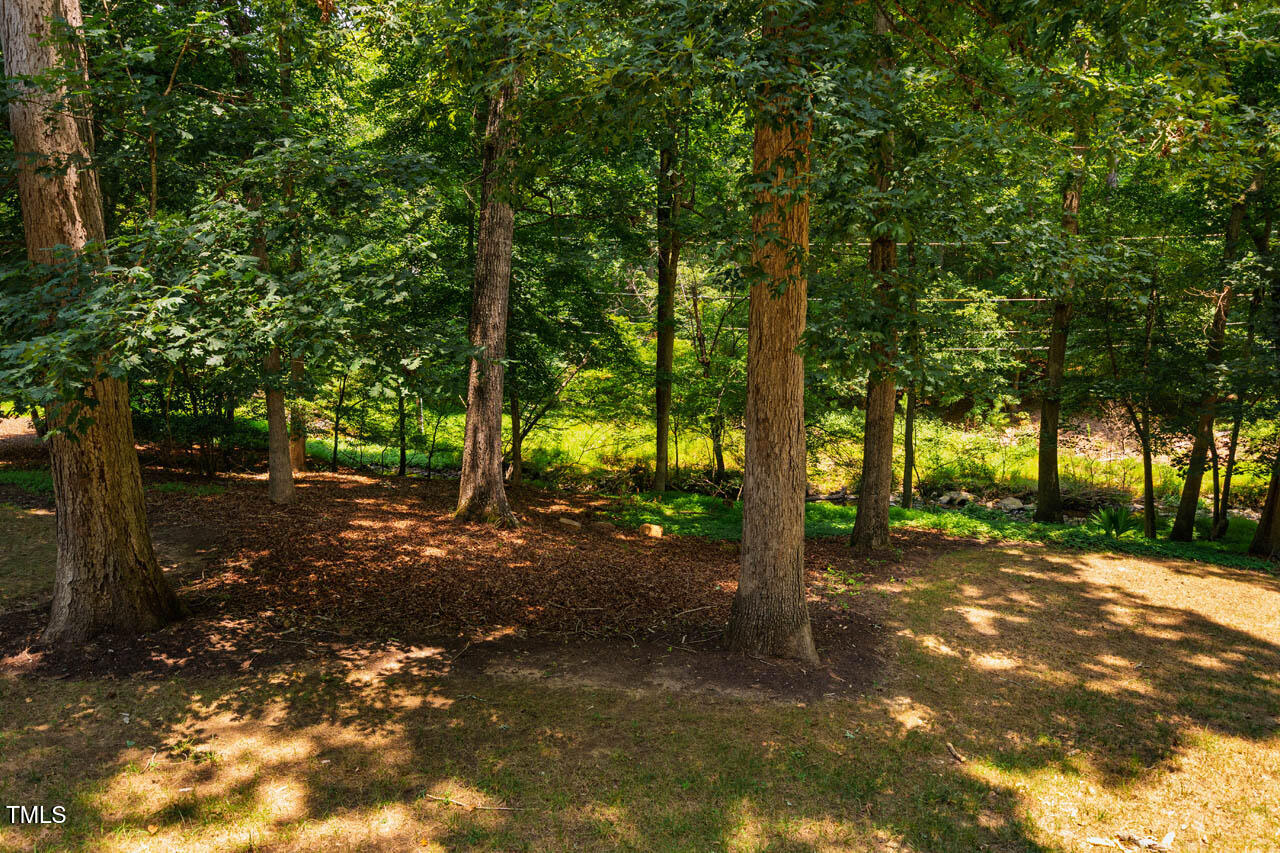 2330 Thunder Road Durham, NC 27712 - Photo 42 of 44 a view of a tree in the middle of a yard