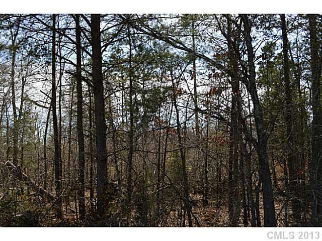 2028 Rhyne Road Dallas, NC 28034 - Photo 2 of 8 Gallery Image 2