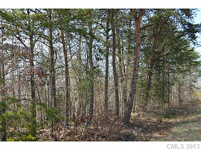 2028 Rhyne Road Dallas, NC 28034 - Photo 3 of 8 Gallery Image 3